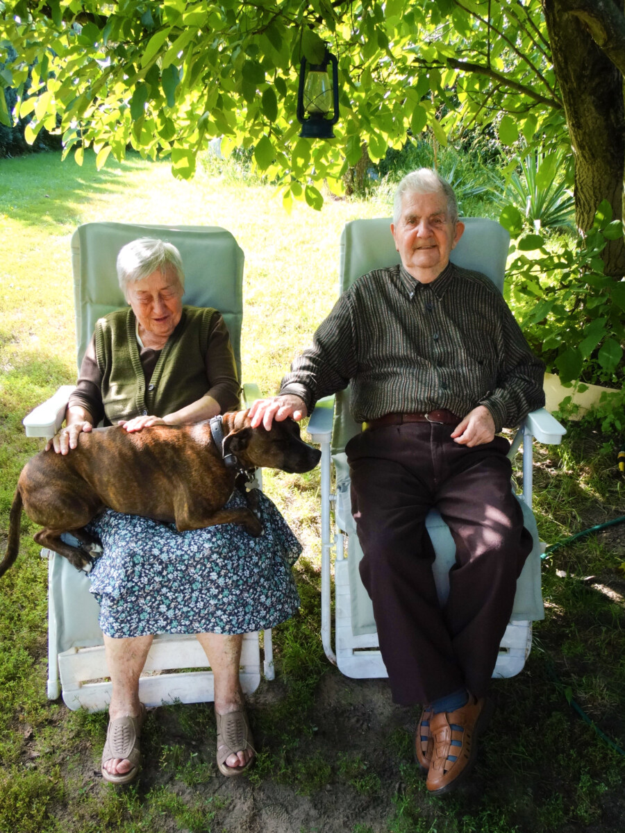 Stanisław - zdjęcie z przykładowej galerii 4